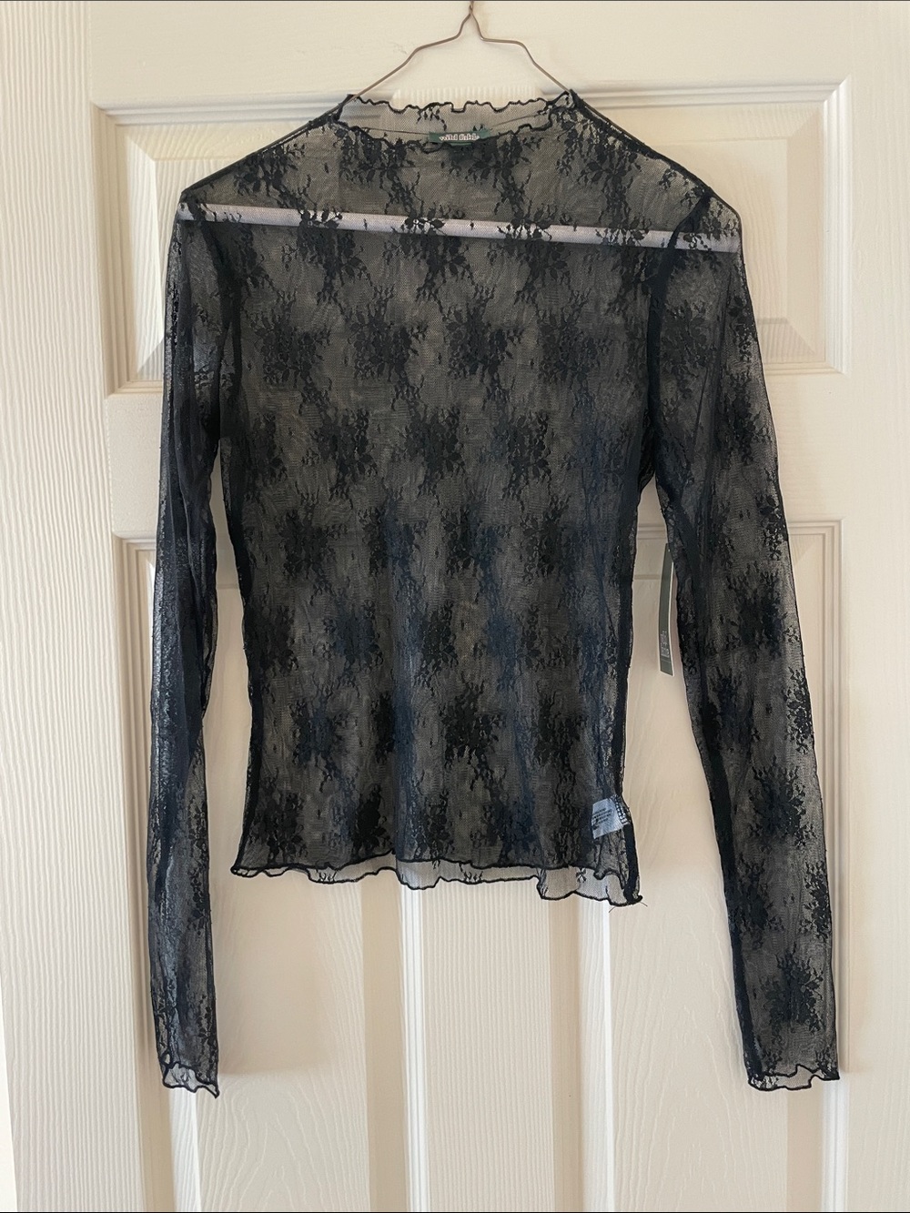 wild fable Black Sheer Floral Lace Long-Sleeve Top